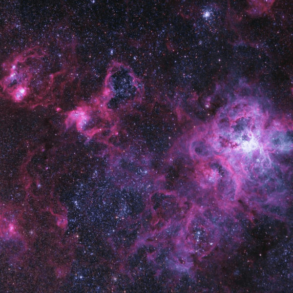リモート撮影　タランチュラ星雲